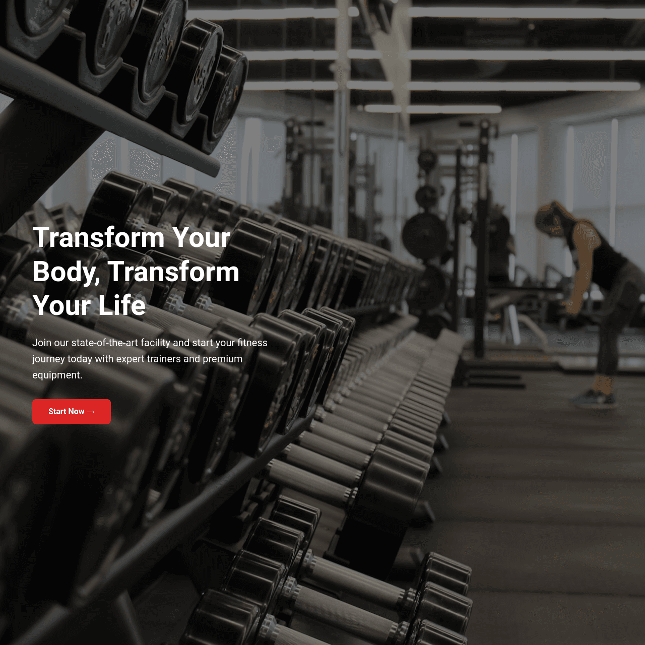 Fitness Widget Demo